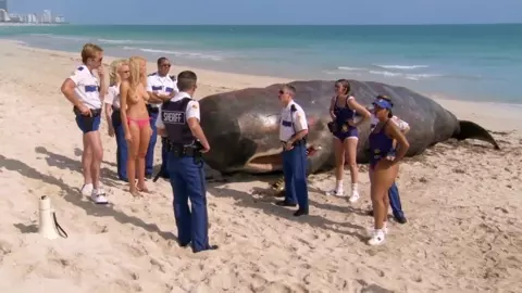 Irina Voronina, Mary Castro, Marisa Petroro Nude - Reno 911! Miami (2007)