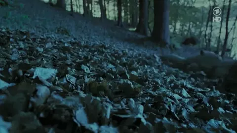 Nina Hoss nude – Das Herz Ist Ein Dunkler Wald (2007)