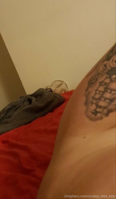 chubby-little-kitty