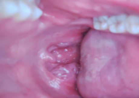 dana-the-lady-vore-1