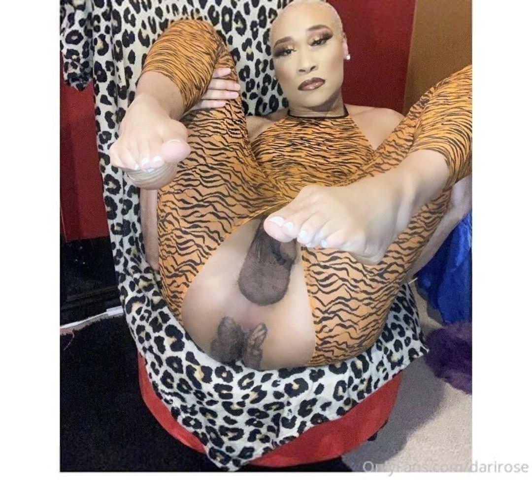 darirose